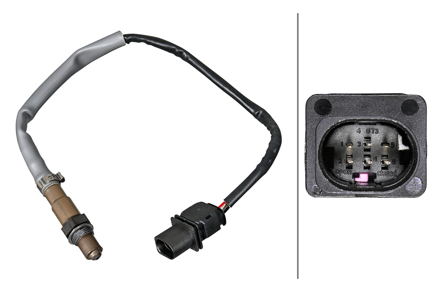 Oxygen Sensor