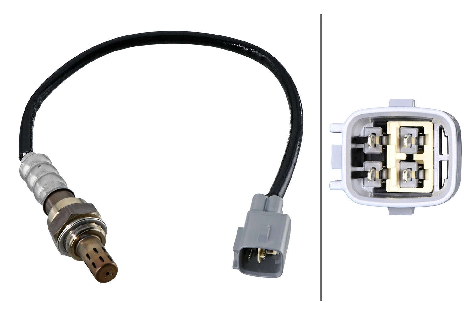 Oxygen Sensor