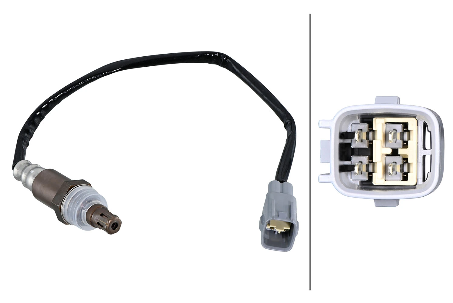Oxygen Sensor