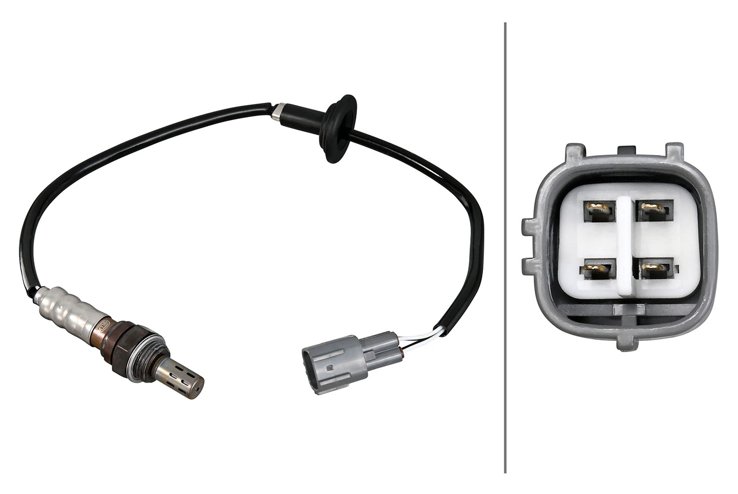 Oxygen Sensor