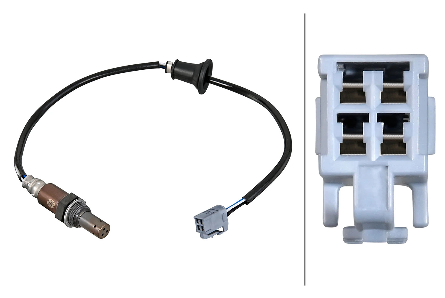 Oxygen Sensor