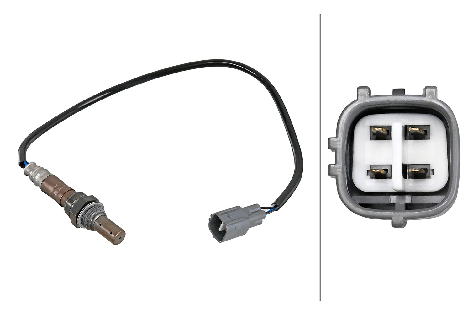 Oxygen Sensor
