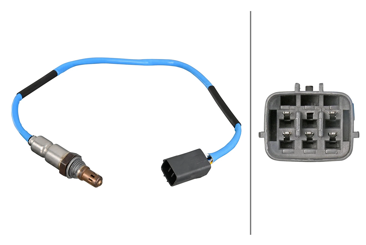 Oxygen Sensor