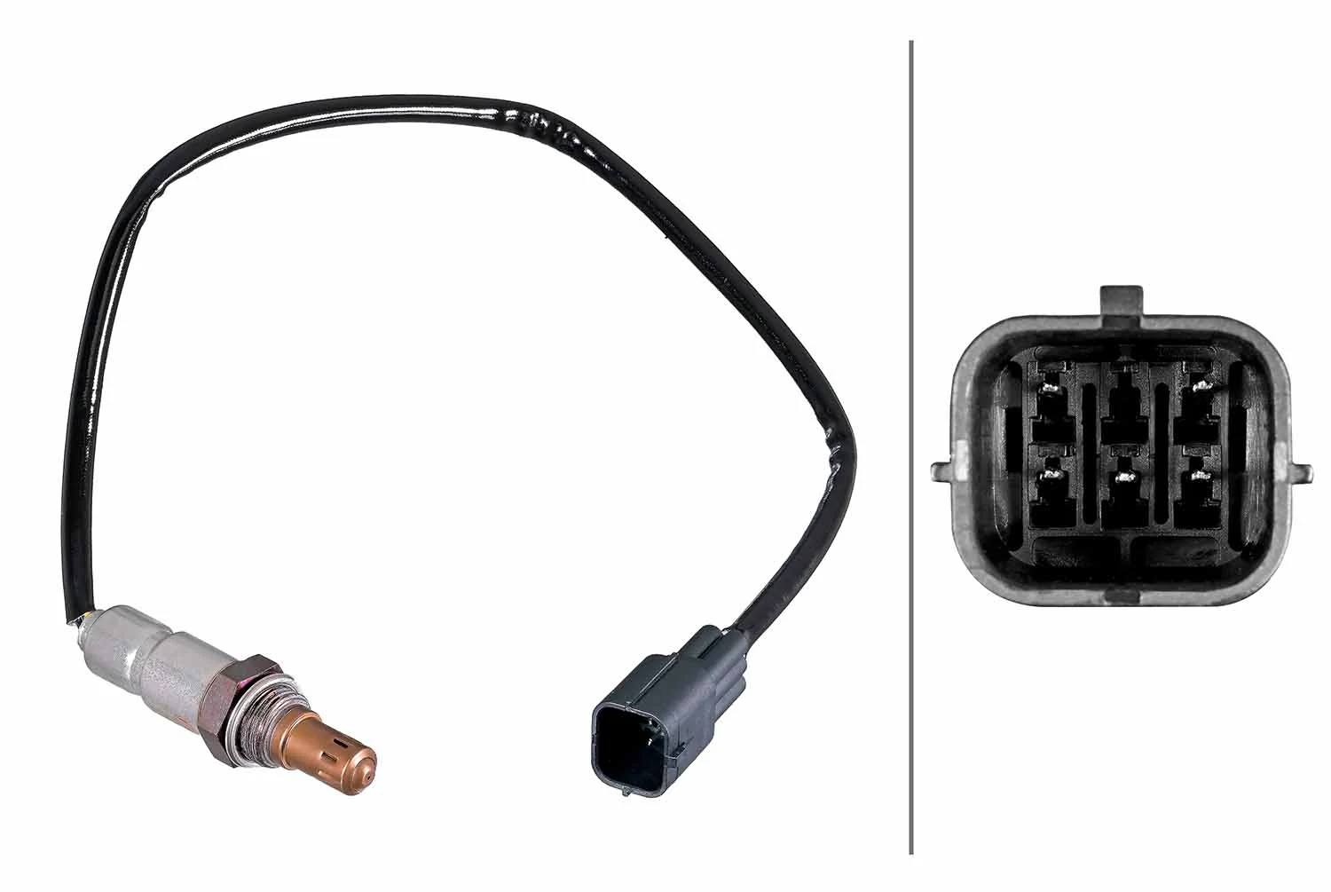Oxygen Sensor