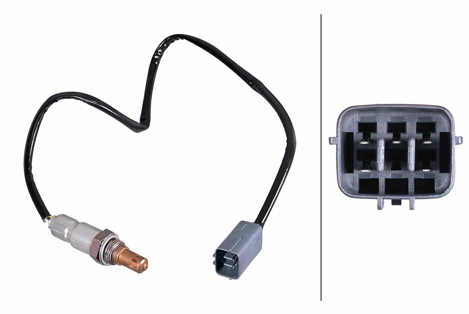 Oxygen Sensor