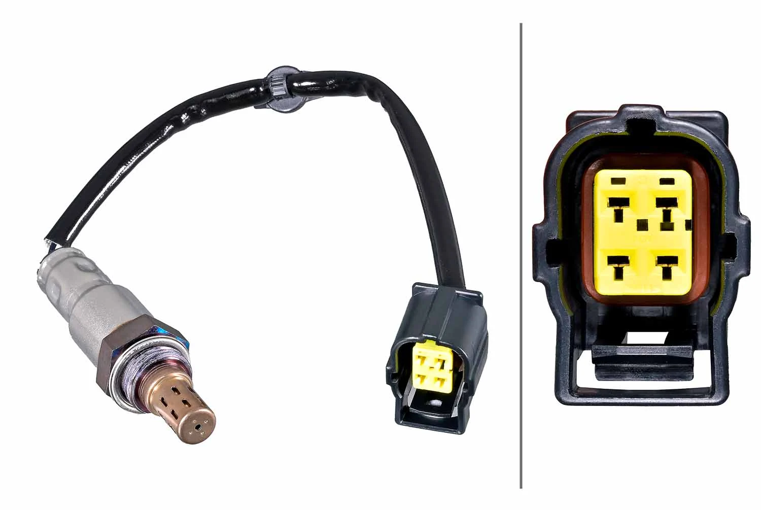 Oxygen Sensor