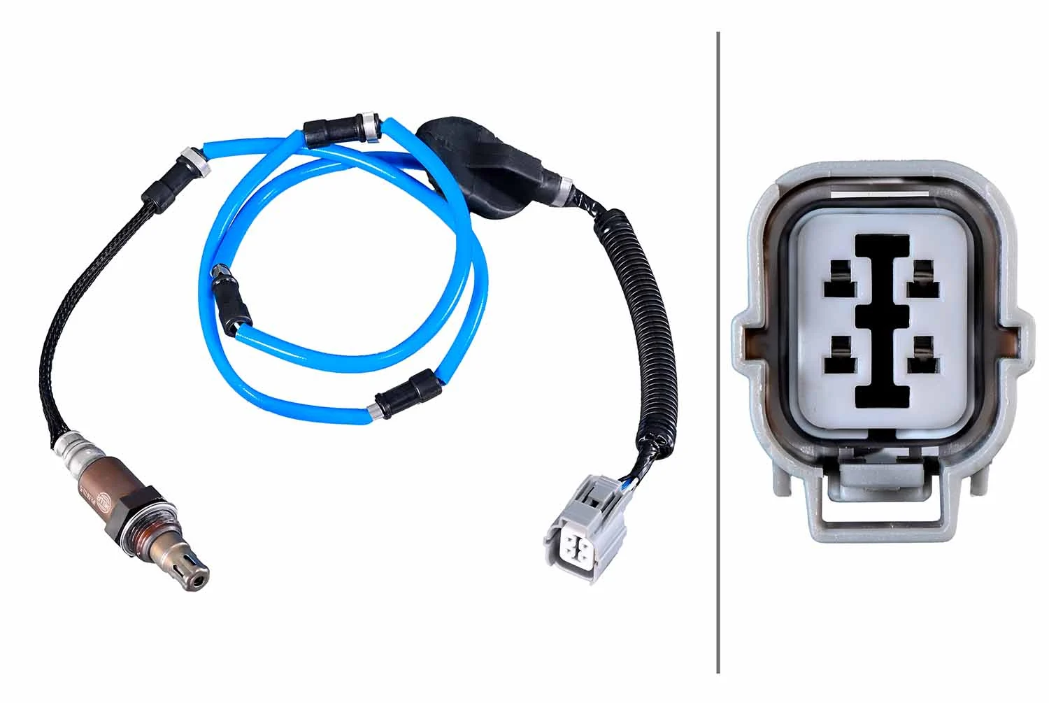 Oxygen Sensor