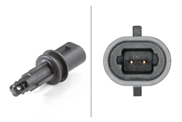 Sensor, intake air temperature