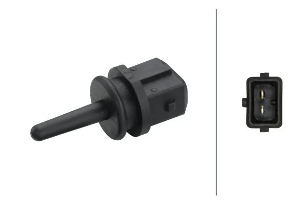 Sensor, intake air temperature