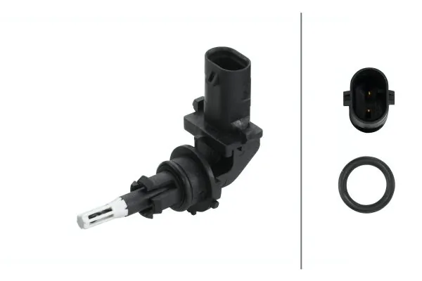 Sensor, intake air temperature