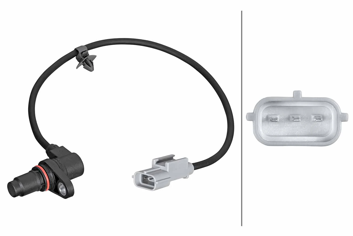 Sensor, crankshaft pulse