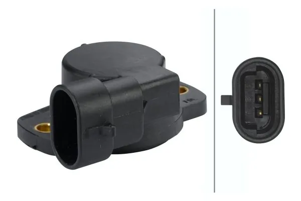 Sensor, throttle position