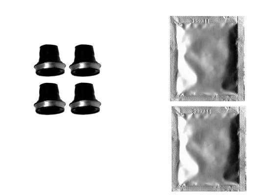 Accessory Kit, brake caliper