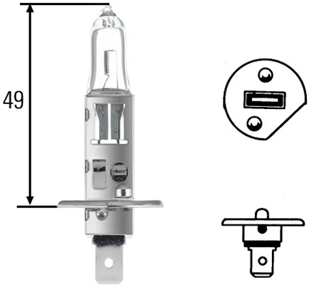 Bulb