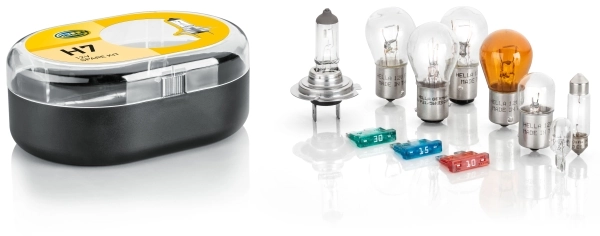 Bulbs Assortment