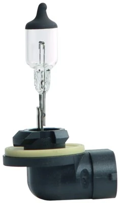 Bulb