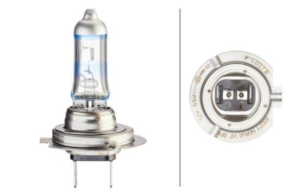 Bulb, spotlight