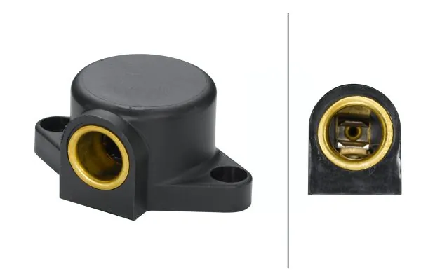 Socket