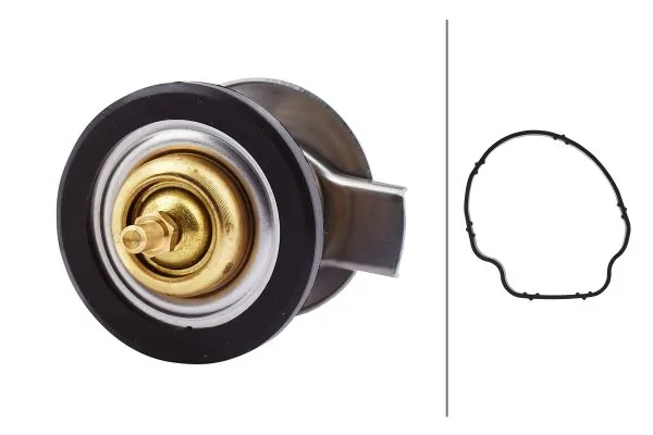 Thermostat, coolant