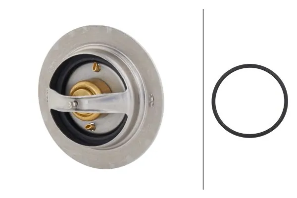 Thermostat, coolant