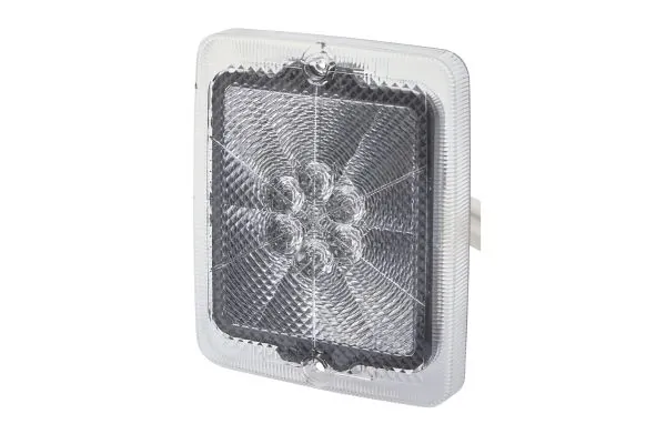 Lens, rear fog light