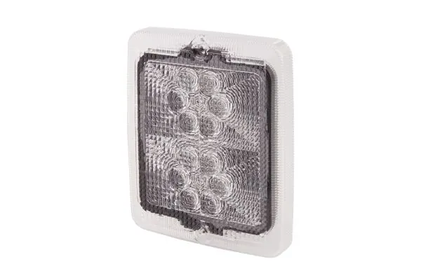 Lens, tail light