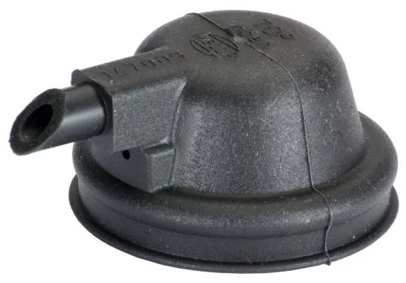 Cap, front fog light