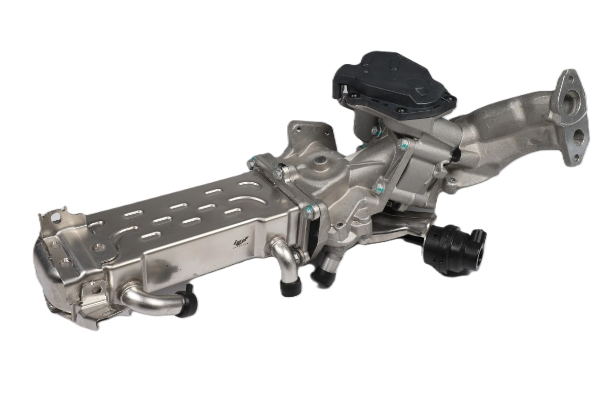EGR Module