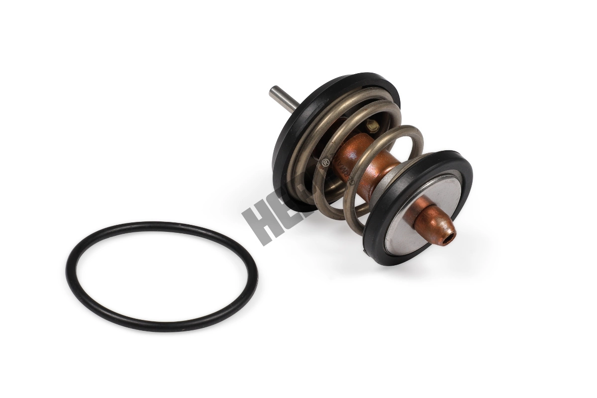 Thermostat, coolant