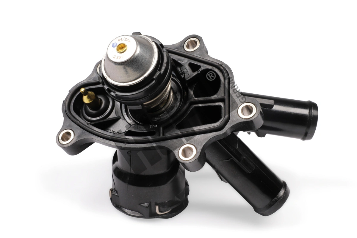 Thermostat, coolant