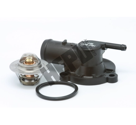 Thermostat, coolant