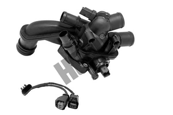 Thermostat, coolant