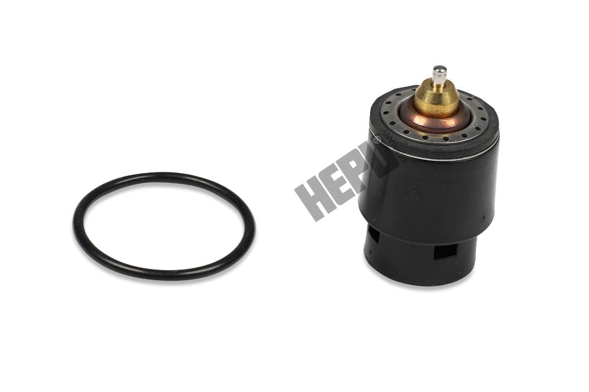 Thermostat, coolant