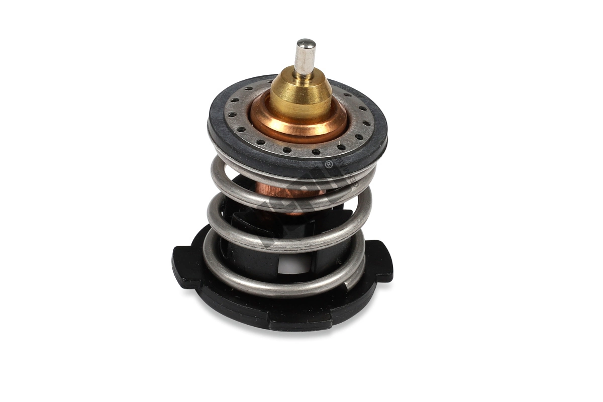 Thermostat, coolant