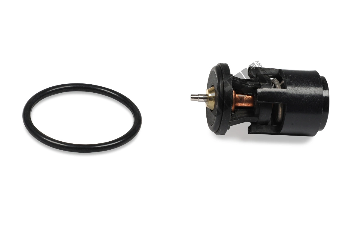 Thermostat, coolant