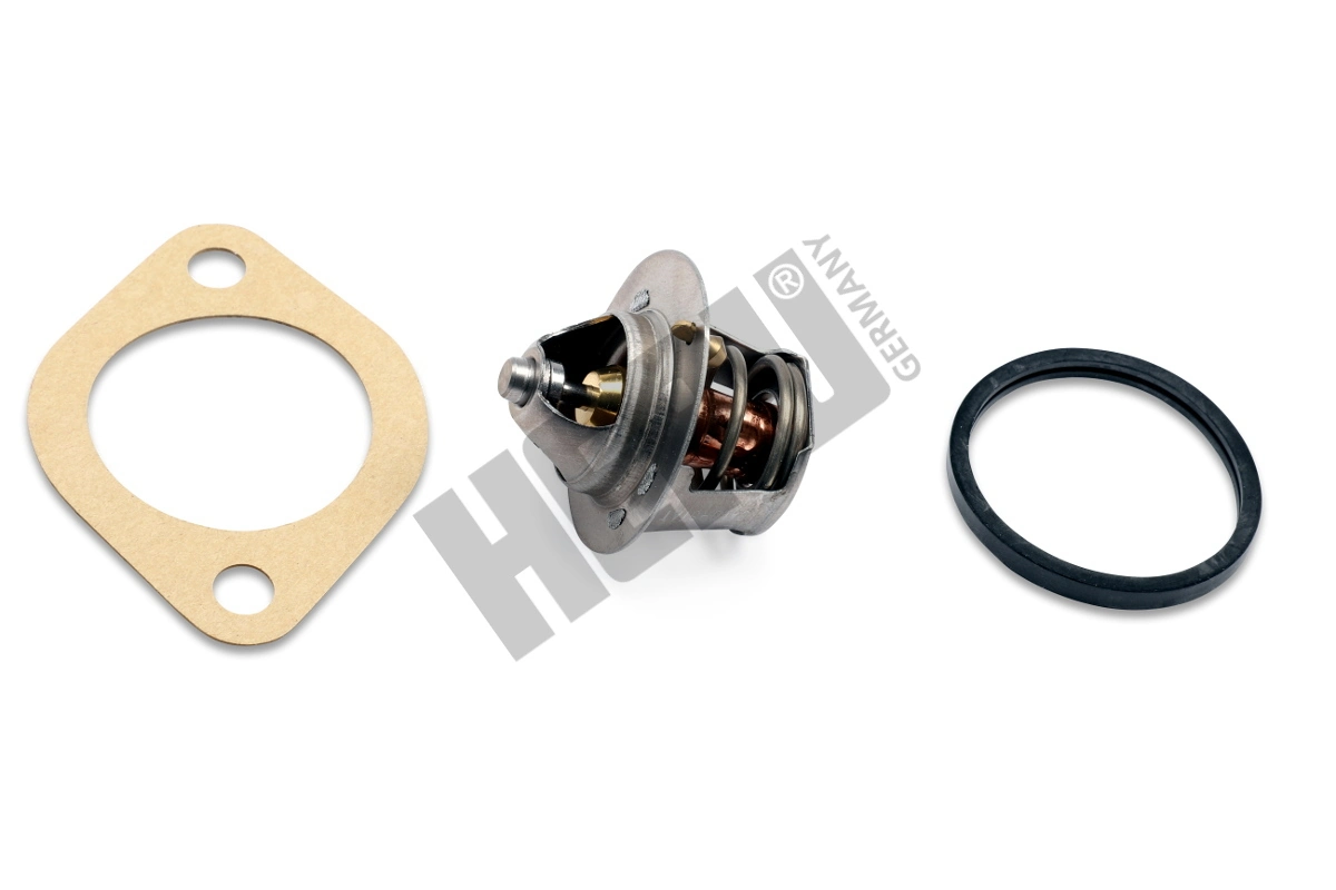 Thermostat, coolant