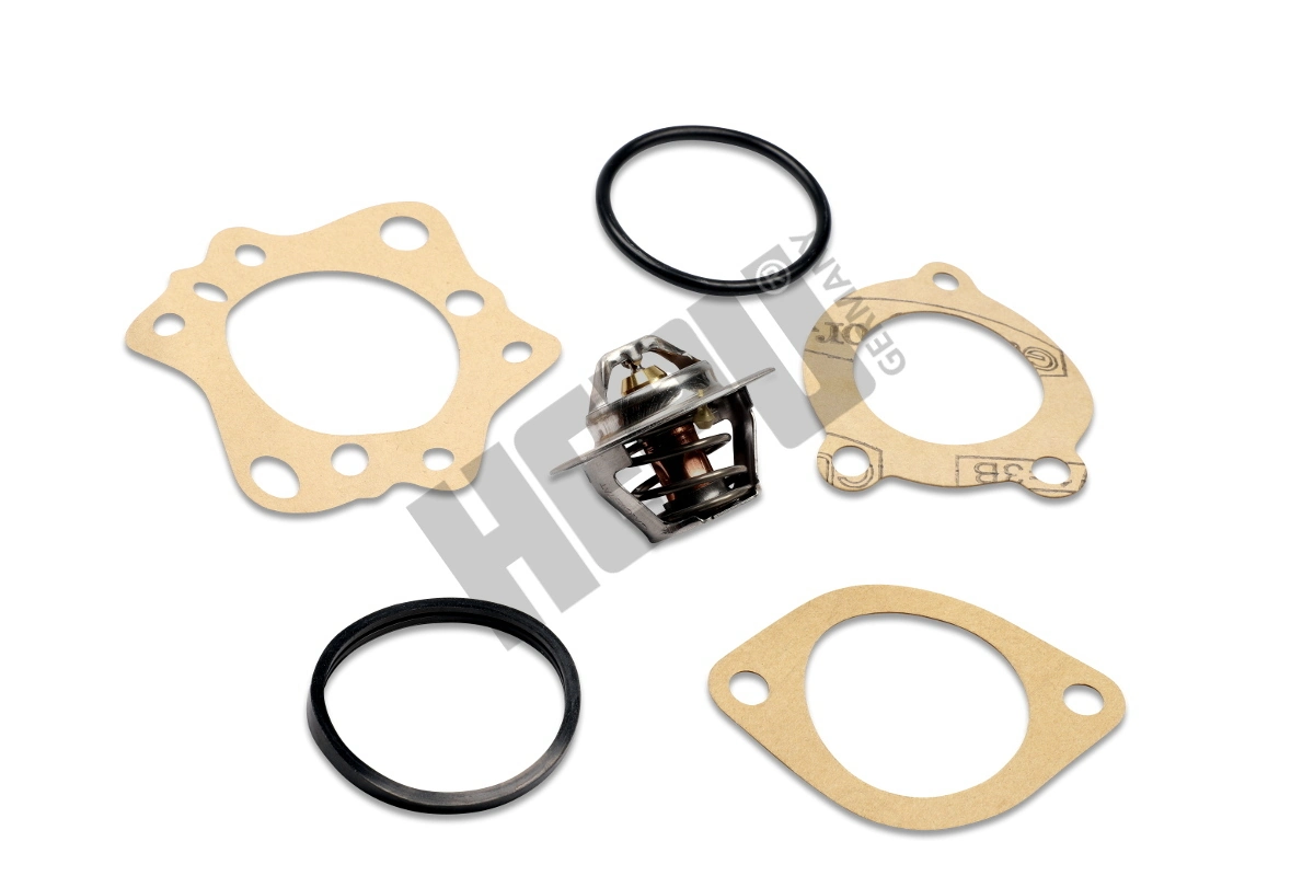 Thermostat, coolant