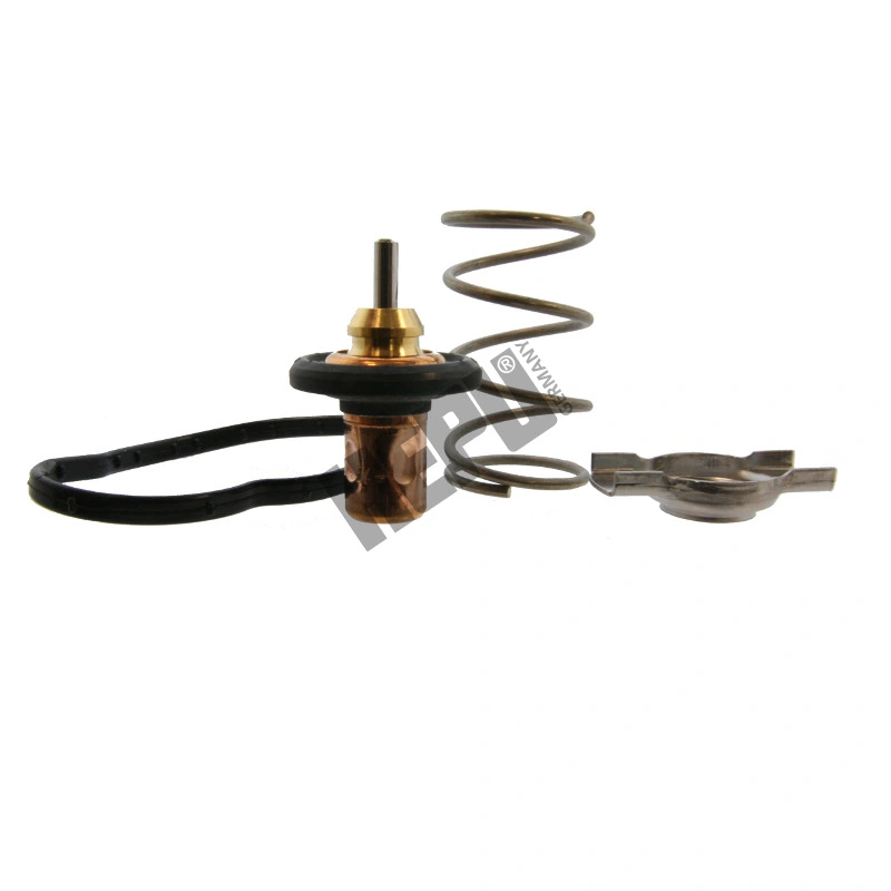 Thermostat, coolant