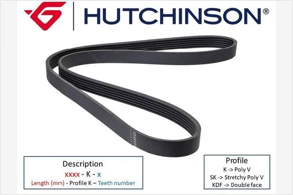 V-ribbed Belt