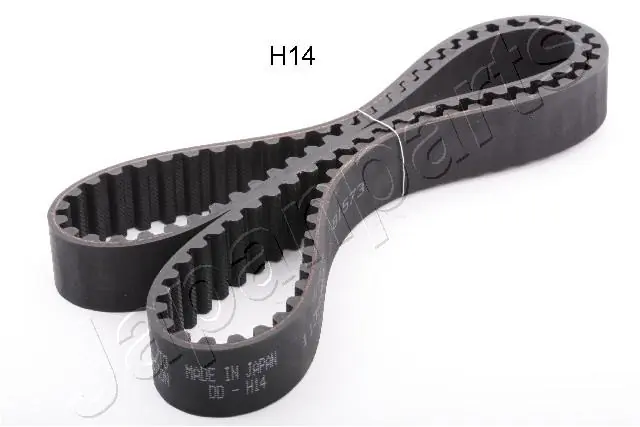 Timing Belt