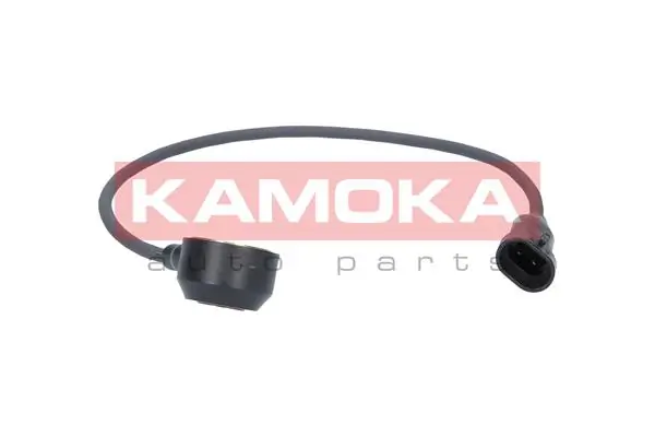 Knock Sensor