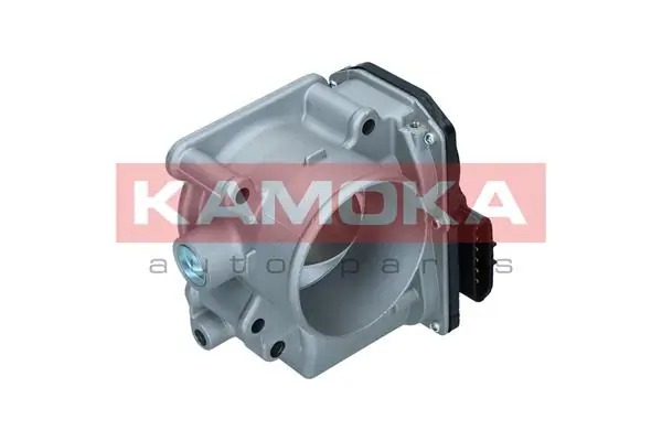 Throttle Body