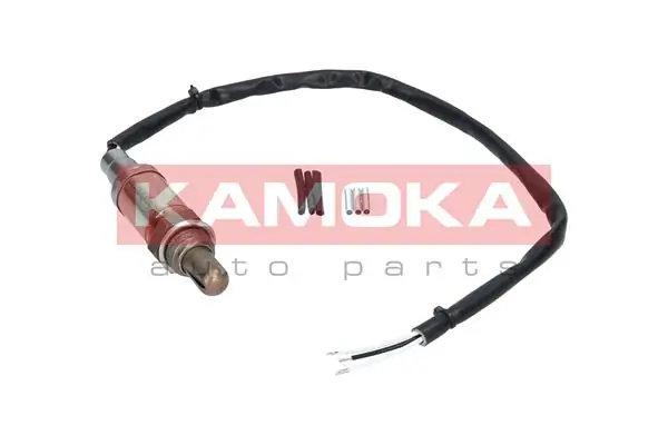 Oxygen Sensor