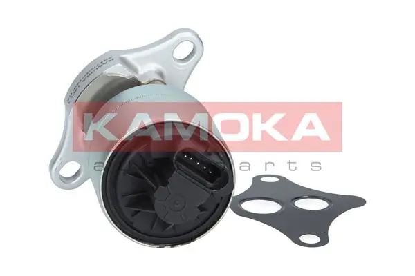 EGR Valve