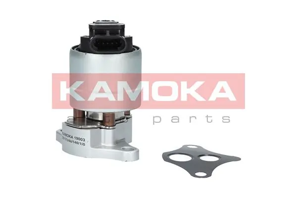 EGR Valve