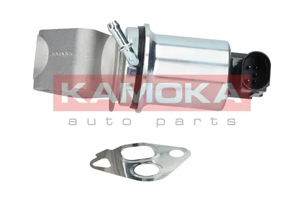 EGR Valve