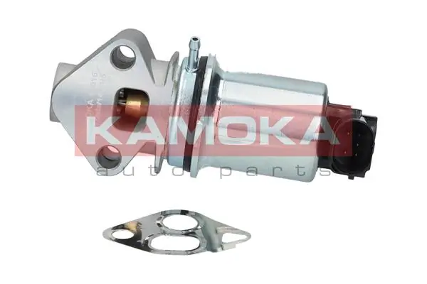EGR Valve