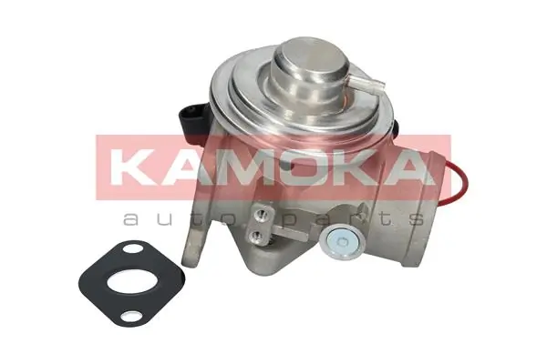 EGR Valve