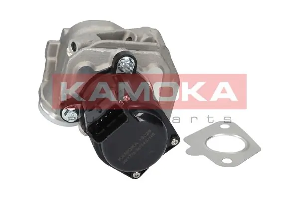 EGR Valve