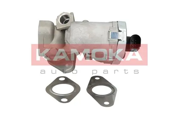 EGR Valve